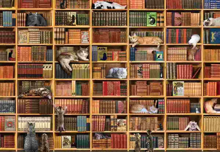 Koty w bibliotece, wylegujące się na półkach z książkami. To jak puzzle biblioteka, gdzie każdy kot to element układanki.