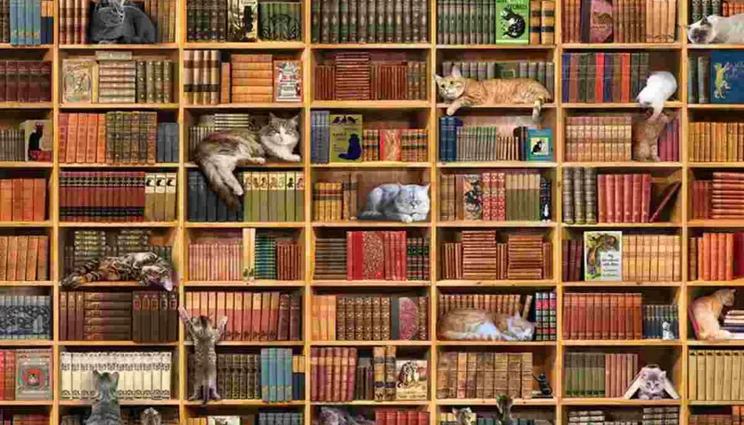 Koty w bibliotece, wylegujące się na półkach z książkami. To jak puzzle biblioteka, gdzie każdy kot to element układanki.