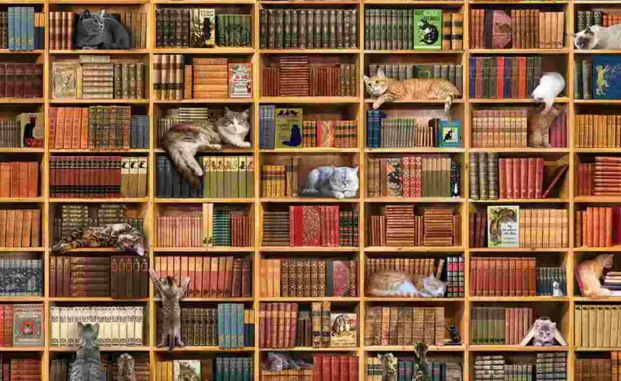 Puzzle biblioteka - jak wybrać i ułożyć?